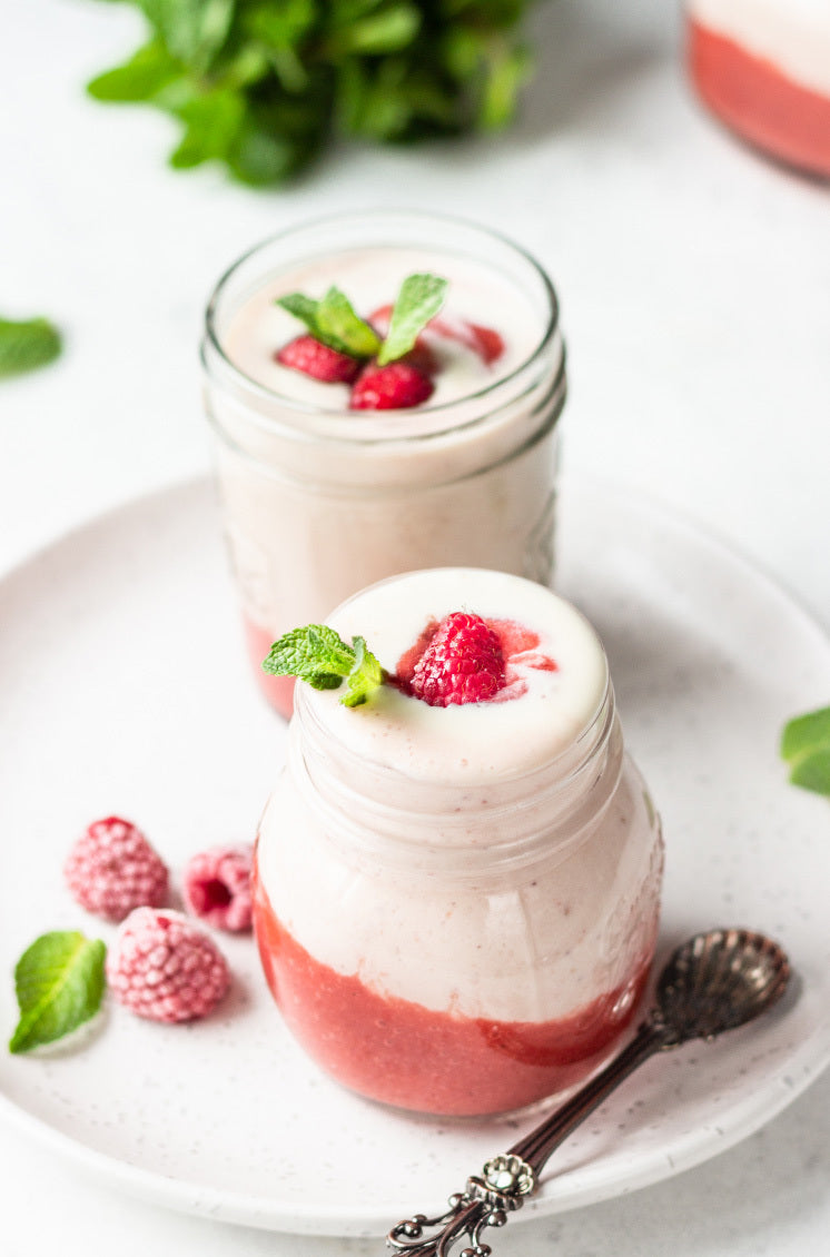 Fruity Fizz Shake | HMR Recipe