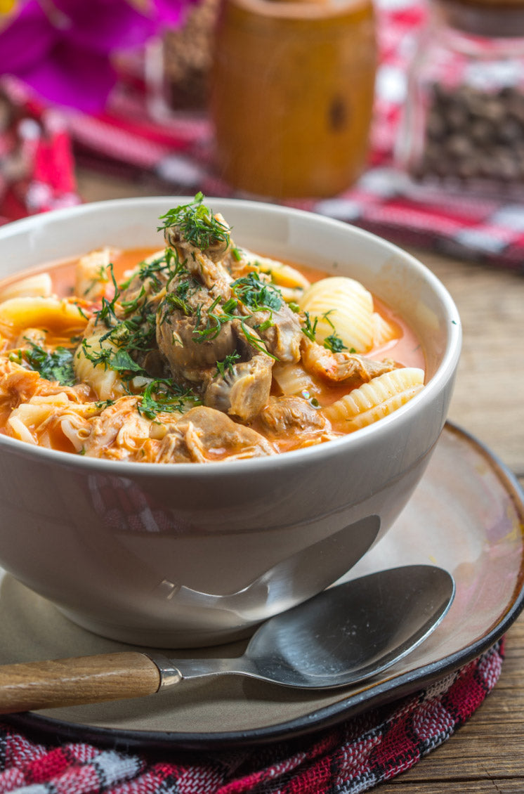 Italian Pasta Chicken Soup