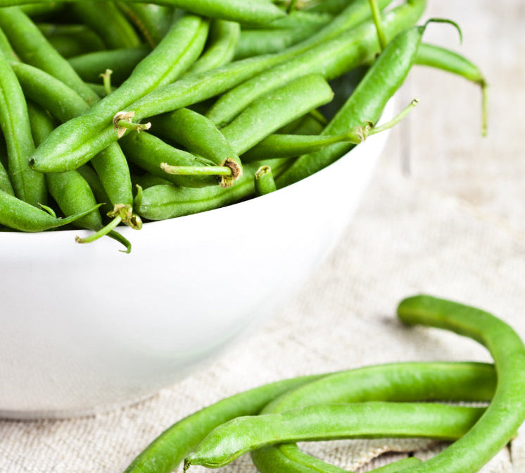 stroganoff green bean casserole