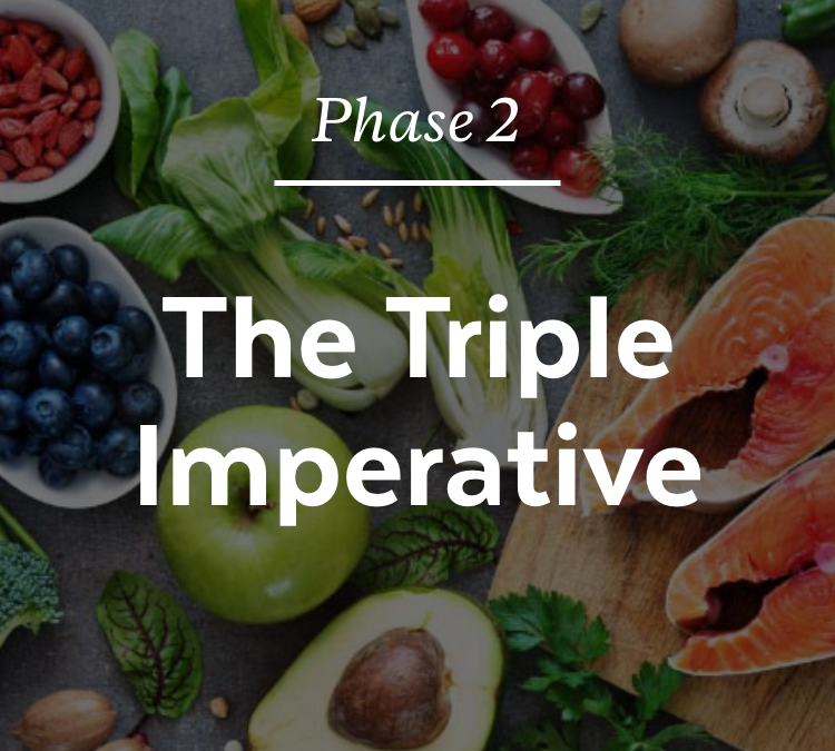 The Triple Imperative: The Foundation of Phase 2